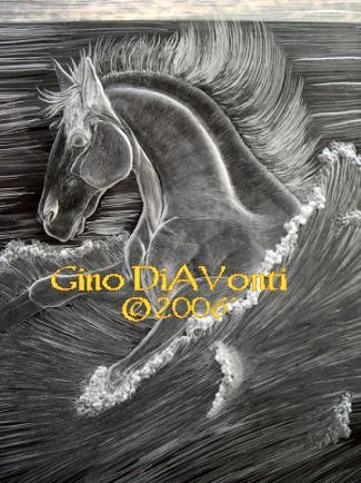 &copy;2009' Gino DiAVonti