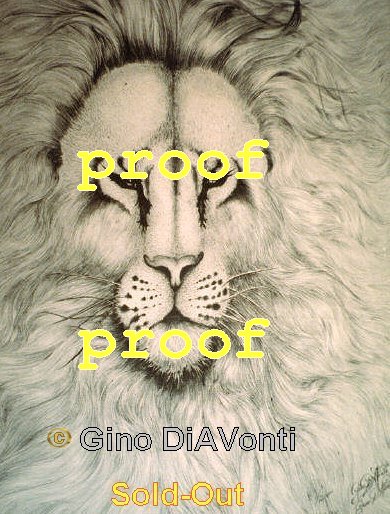 Lion &copy; 2009 Gino DiAVonti