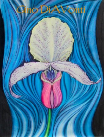 Orchid no. 1 &copy; 2009 Gino DiAVonti