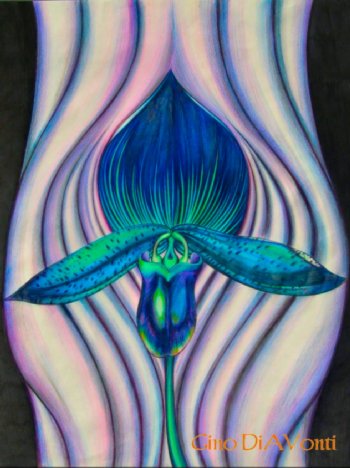 Orchid no. 2 &copy; 2009 Gino DiAVonti